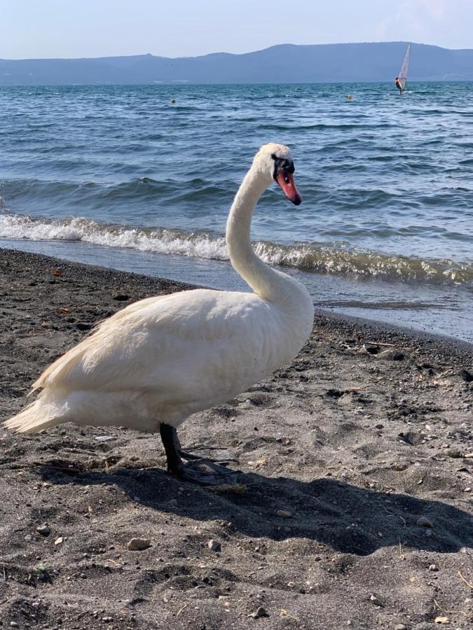 La Casa Sul Lago 앙귈라라사바치아 외부 사진